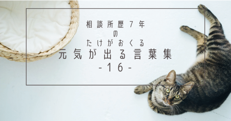 圧倒的情報量！女子の女子による女子解説！